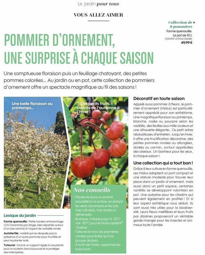 POMMIER D'ORNEMENT, UNE SURPRISE À CHAQUE SAISON  Une somptueuse floraison puis un feuillage chatoyant, des petites pommes colorées.... Au jardin ou en pot, cette collection de pommiers d'ornement off