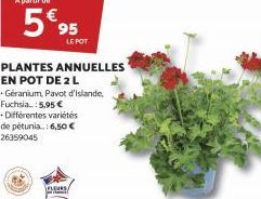 5€95  LE POT  PLANTES ANNUELLES  EN POT DE 2 L  +Géranium, Pavot d'Islande, Fuchsia...: 5,95 €  -Différentes variétés de pétunia..: 6,50 € 26359045  FLEURS 