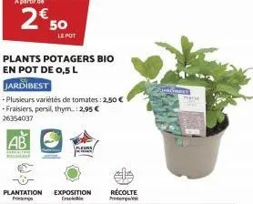 2€50  samatt  le pot  plants potagers bio en pot de 0,5 l  jardibest  -plusieurs variétés de tomates: 2,50 € -fraisiers, persil, thym.: 2,95 € 26354037  plantation exposition printempo ensole  récolte