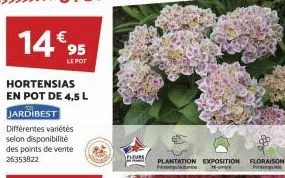 14€95  hortensias en pot de 4,5 l  jardibest  différentes variétés selon disponibilité des points de vente 26353822  pot  flours  p  plantation exposition  hoove  floraison p 