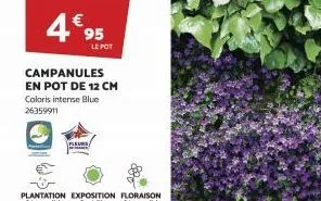 4€95  le pot  campanules en pot de 12 cm  coloris intense blue 26359911  fleurs 