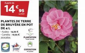 A partir de  14€95  PLANTES DE TERRE DE BRUYÈRE EN POT DE 4 L  Azalea 14,95 € Camélia : 19,95 € 26353835  PLEURS/  PLANTATION Toutef  EXPOSITION  Mi-ombre 