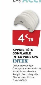 spa Intex