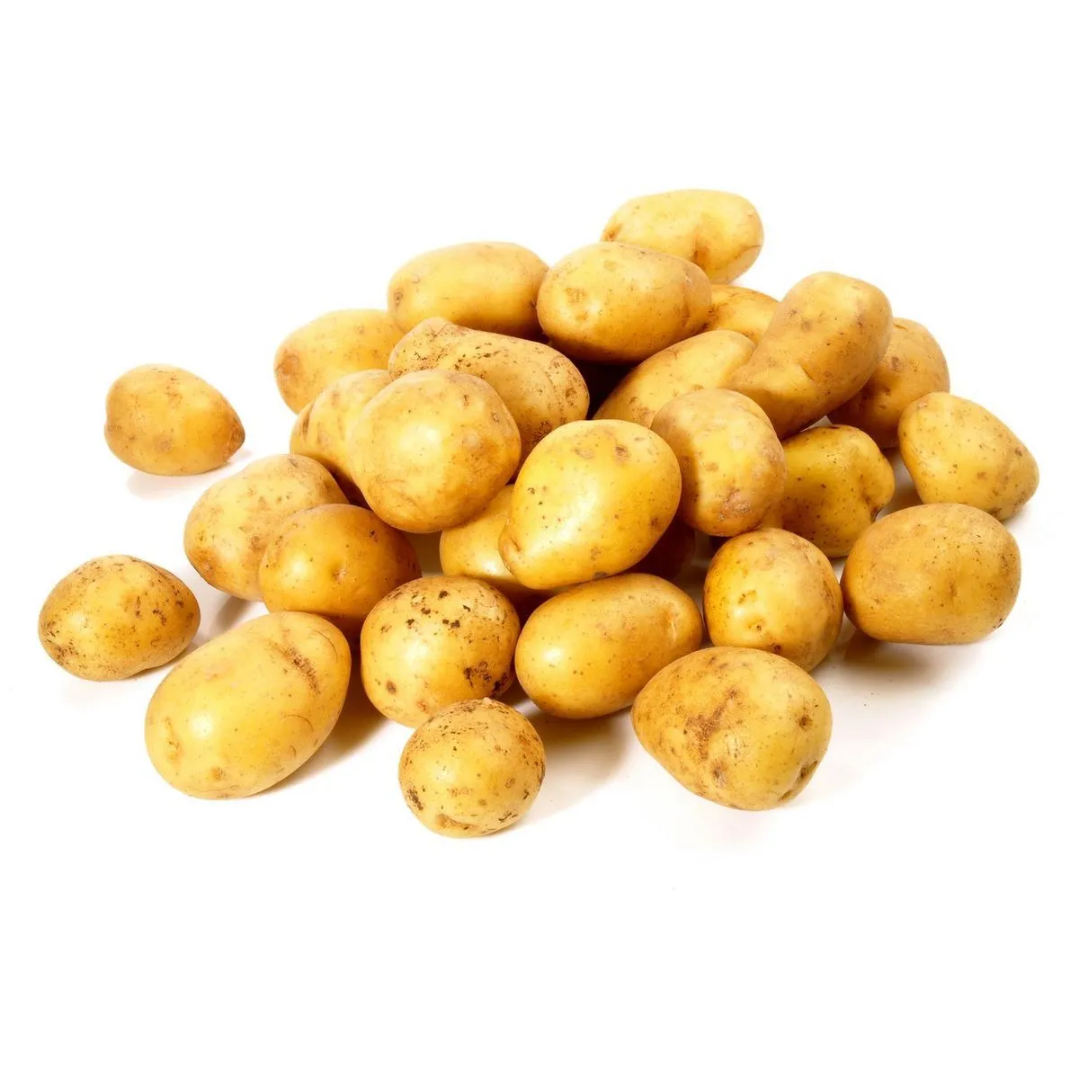 pommes de terre primeur de l'île de noirmoutier ou île de ré
