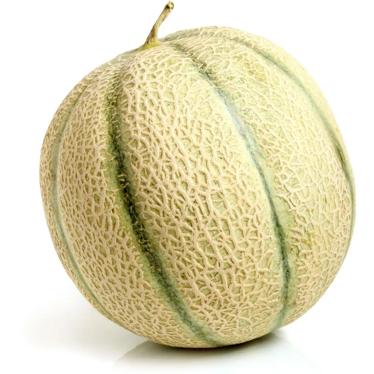 melon des antilles