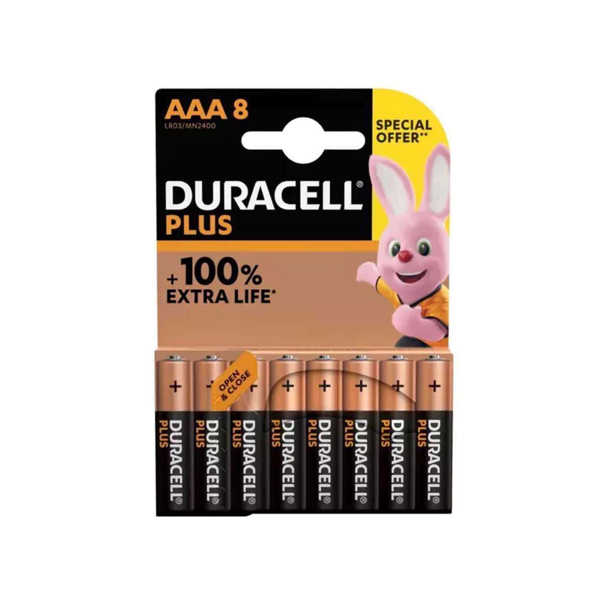 LOT DE 8 PILES PLUS 100% LR06 OU LR03 DURACELL(1)