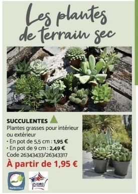 Les plantes de terrain gec  SUCCULENTES  Plantes grasses pour intérieur ou extérieur  • En pot de 5,5 cm: 1,95 €  • En pot de 9 cm: 2,49 € Code 26343433/26343317  À partir de 1,95 €  FLEURS 