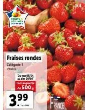 fraises 