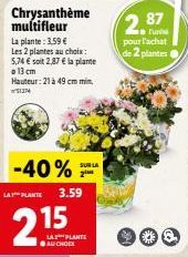 plantes Lay's