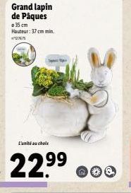 Grand lapin de Pâques  a 35 cm Hauteur: 37 cm min.  77  Sya  L'unité au choix  22.9⁹⁹  99 