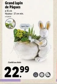 grand lapin de pâques  a 35 cm hauteur: 37 cm min.  77  sya  l'unité au choix  22.9⁹⁹  99 