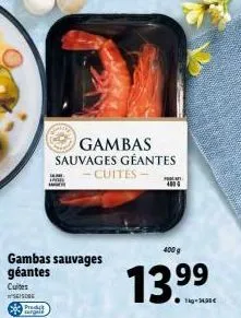 gambas 