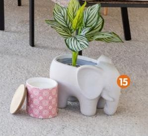 pot de fleurs elephant
