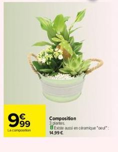 999  La composition  Composition 3 plantes.  Existe aussi en céramique "eu":  14,99 € 