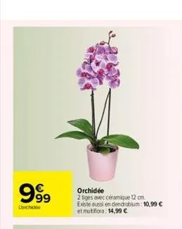 9999  lorchide  orchidée  2 tiges avec céramique 12 cm.  existe aussi en dendrobium: 10,99 € et multiflora: 14,99 €  