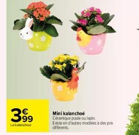 39⁹  99  Lekalanchoe  Mini kalanchoe Céramique poule ou lapin Existe en d'autres modèles à des prix différents. 