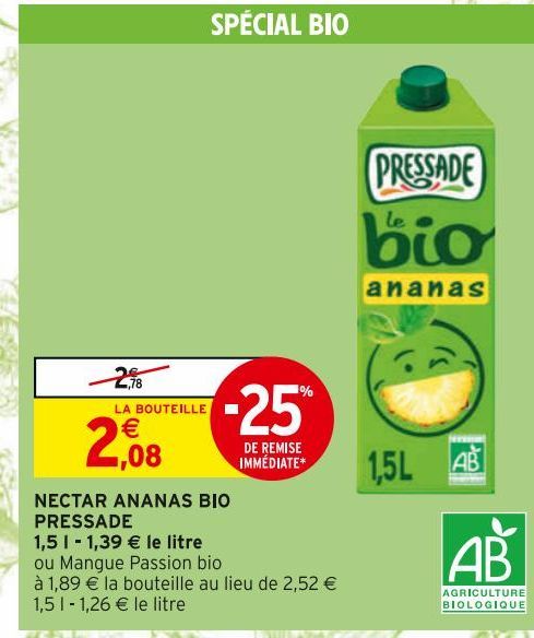 NECTAR ANANAS BIO PRESSADE 