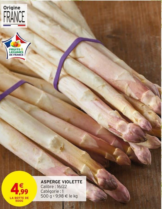 ASPERGE VIOLETTE 