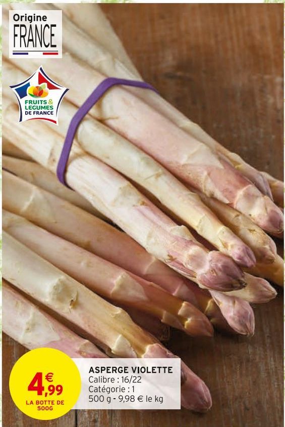 ASPERGES VIOLETTE