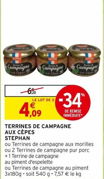 terrines de campagne aux cèpes stephan