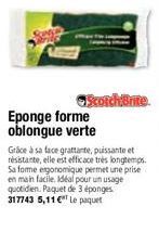 éponge 