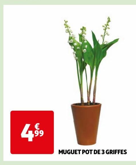 MUGUET POT DE 3 GRIFFES