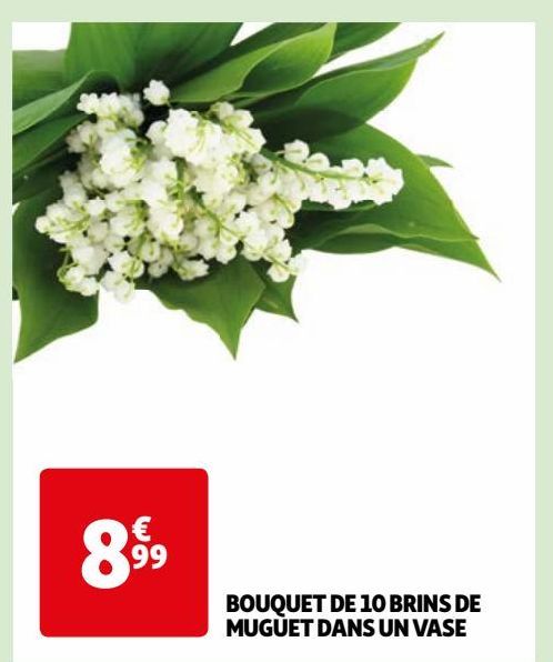 BOUQUET DE 10 BRINS DE MUGUET DANS UN VASE