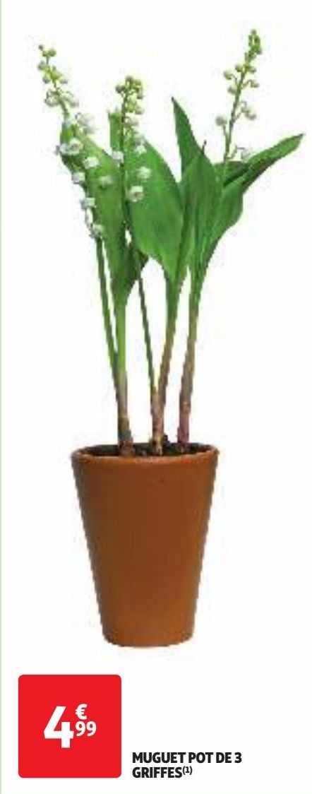 MUGUET POT DE 3 GRIFFE