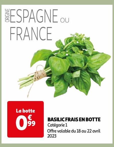 BASILIC FRAIS EN BOTTE