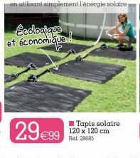 Ecologique et économique  ■Tapis solaire 120 x 120 cm 