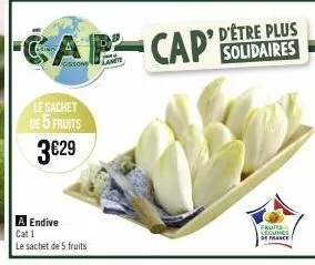 le sachet  de 5 fruits 3€29  a endive cat 1  le sachet de 5 fruits  -cap-cap d'être plus  solidaires  fruits  legumes  de france 