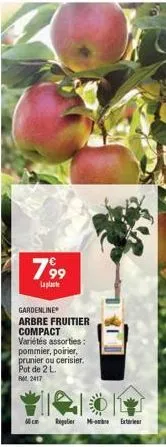 799  laplante  gardenline  arbre fruitier compact variétés assorties:  pommier, poirier, prunier ou cerisier.  pot de 2 l.  rm 2417  mcm regulier m-extre 