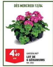 449  Laist  DÈS MERCREDI 12/04  GARDENLINE LOT DE 6 GERANIUMS 200 