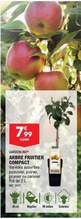 799  Laplante  GARDENLINE  ARBRE FRUITIER COMPACT Variétés assorties:  pommier, poirier, prunier ou cerisier.  Pot de 2 L.  RM 2417  Mcm Regulier M-Extre 