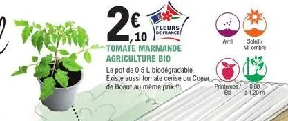 €  fleurs de france  10 tomate marmande agriculture bio  le pot de 0,5 l biodegradable. existe aussi tomate cerise ou coeur de boeuf au même prix  avril  soleil/  mi-ombre  printemps/ 0,80 eté  à 1,20