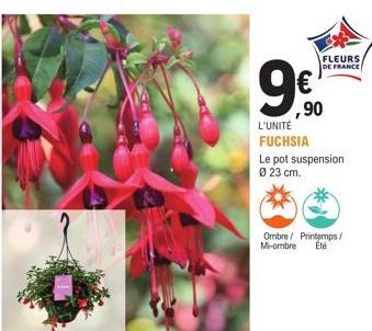 FLEURS DE FRANCE  ,90  L'UNITÉ  FUCHSIA  Le pot suspension Ø 23 cm.  Ombre/ Printemps/ Mi-ombre Été 