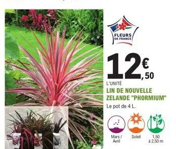 fleurs  de france  € ,50  l'unité  lin de nouvelle  zelande "phormium"  le pot de 4 l.  mars/ soleil avril  1,50 à 2,50 m 