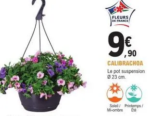 fleurs de france  ,90 calibrachoa  le pot suspension ø 23 cm.  soleil printemps/  mi-ombre  été 