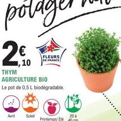 1,10  THYM  AGRICULTURE BIO  Le pot de 0,5 L biodégradable.  Avril Soleil  FLEURS DE FRANCE  Printemps/Eté  20 à  40 cm 