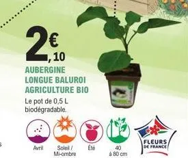 2  € ,10 aubergine longue baluroi agriculture bio le pot de 0,5 l biodégradable.  avril  soleil/ mi-ombre  eté  40  à 80 cm  fleurs  de france 