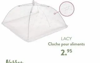 lacy cloche pour aliments  2.95 