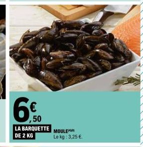 moule 