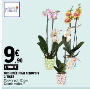 Quartier  Fleurs  ,90 L'UNITÉ  ORCHIDÉE PHALAENOPSIS  2 TIGES Couvre pot 12 cm. Coloris variés.  