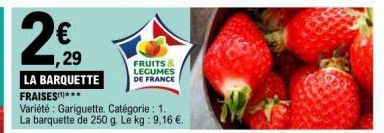 FRUITS & LEGUMES DE FRANCE 