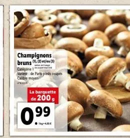 champignons 