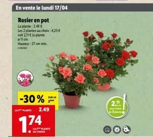 en vente le lundi 17/04  rosier en pot  la plante: 2,49 €  les 2 plantes au choix: 4,23 € soit 2.11€ la plante  a11cm hauteur: 27 cm min  -30% sur la  2  lay plante 2.49  174  la plante auchoex  2.11 