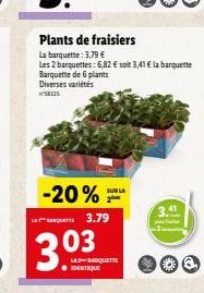 Plants de fraisiers La barquette: 3,79 €  Les 2 barquettes: 6,82 € soit 3,41 € la barquette Barquette de 6 plants Diverses variétés  58125  -20% 3.79  3.03  SUR LA  LA BARQUETTE IDENTIQUE  3.4 