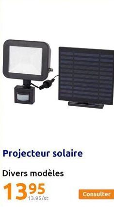 Q  Projecteur solaire  Divers modèles  13.95  13.95/st  Consulter 