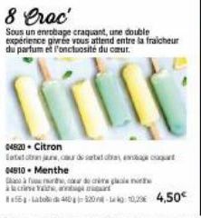 Sous un enrobage craquant, une double expérience givrée vous attend entre la fraicheur du parfum et l'onctuosité du cœur.  04820- Citron  Etatja, destac 04910. Menthe  crise Yara  cordo crème glacia m