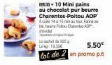 pains au chocolat Promo